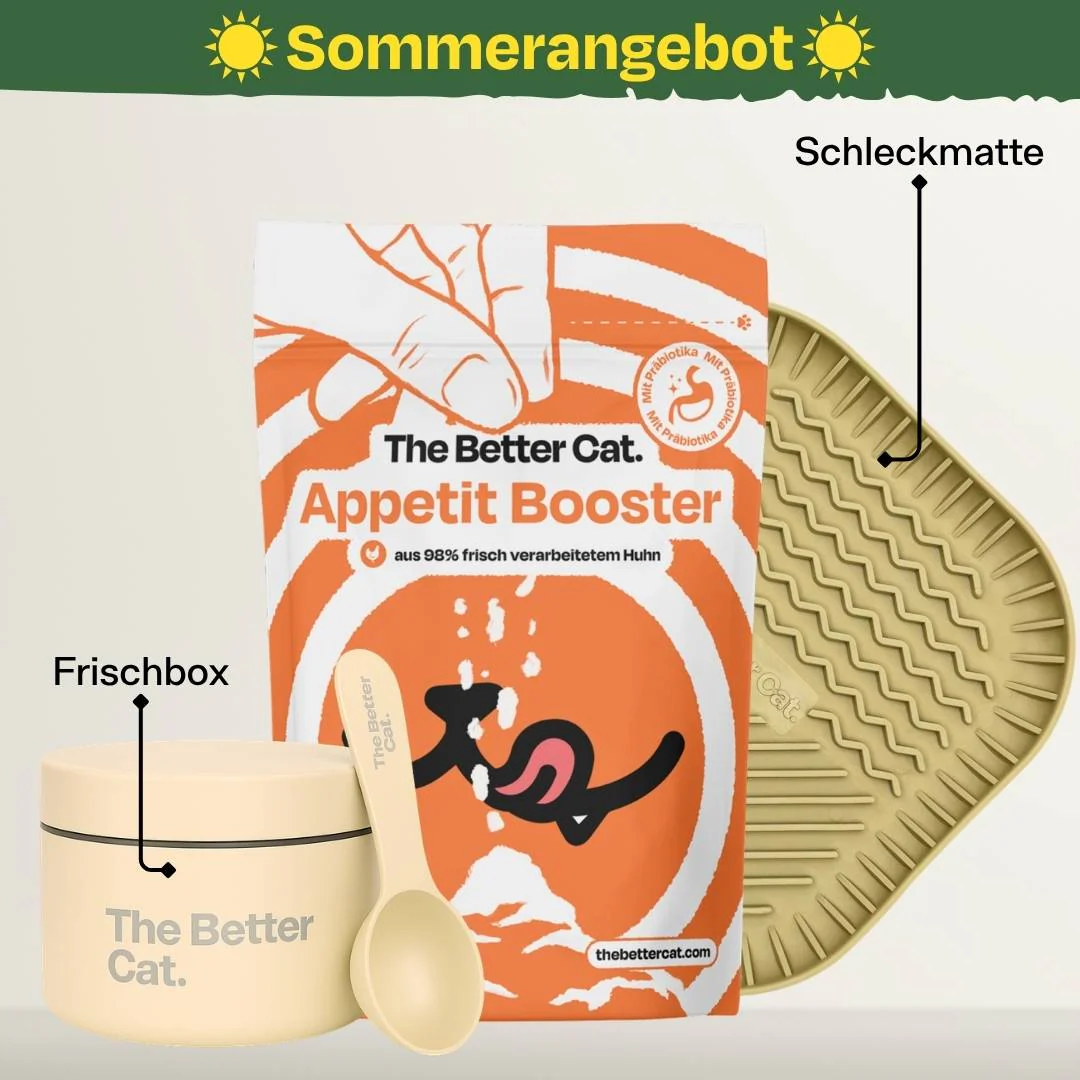 Präventive Katzenernährungsprodukte